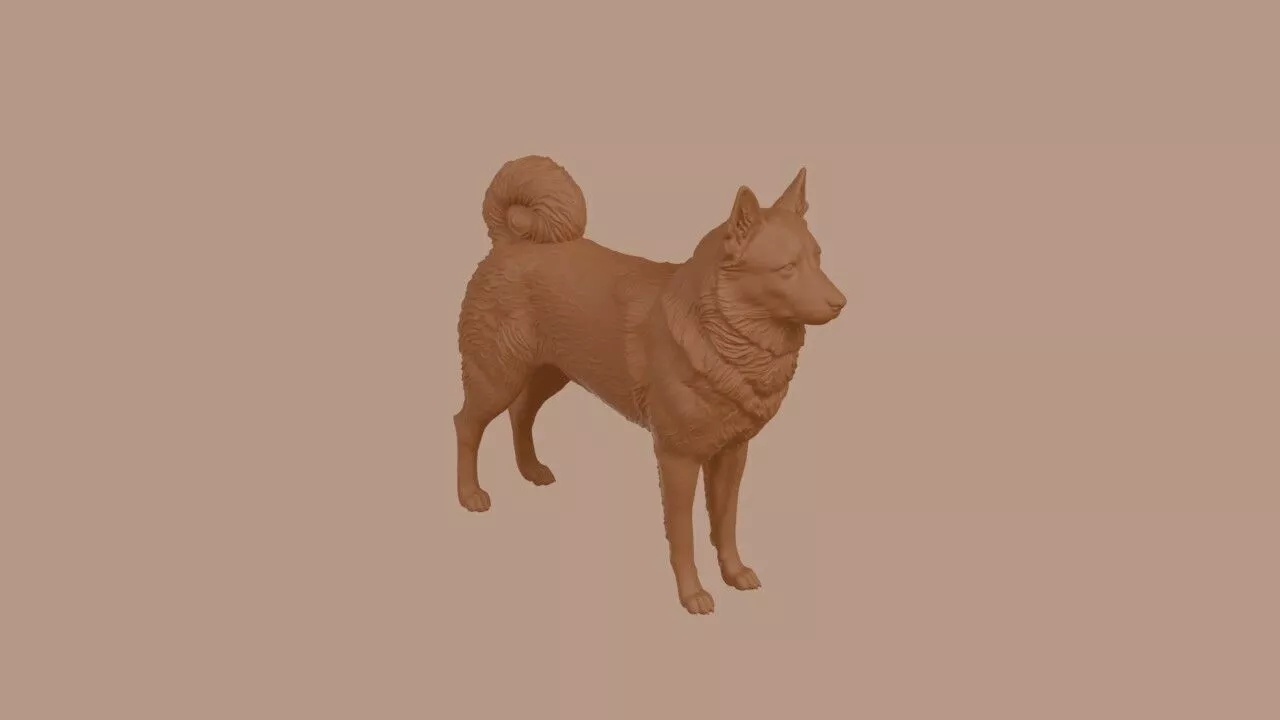 Norwegian Elkhound 3D print model