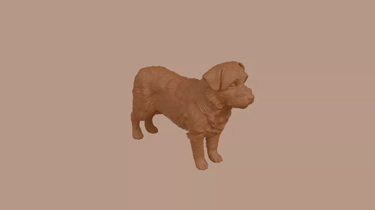 Norfolk Terrier 3D print model