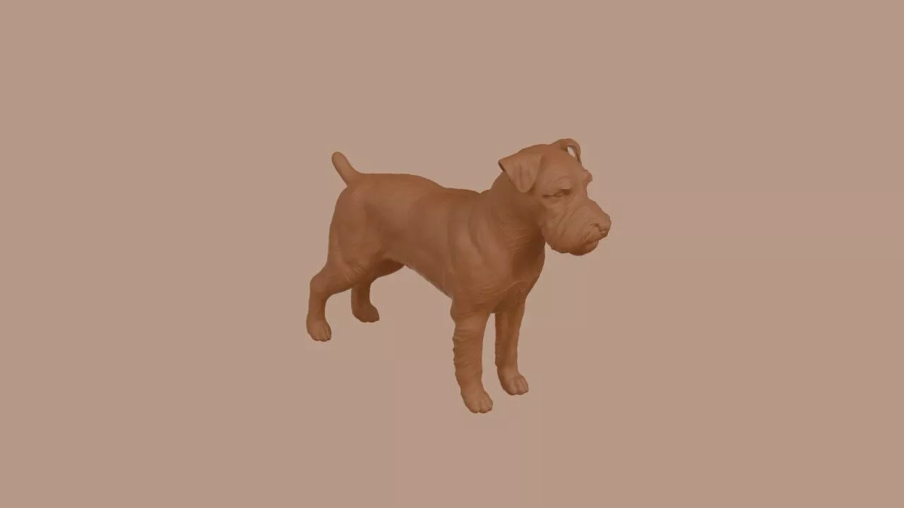 Miniature Schnauzer 3D print model