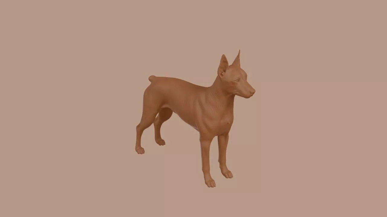Miniature Pinscher 3D print model