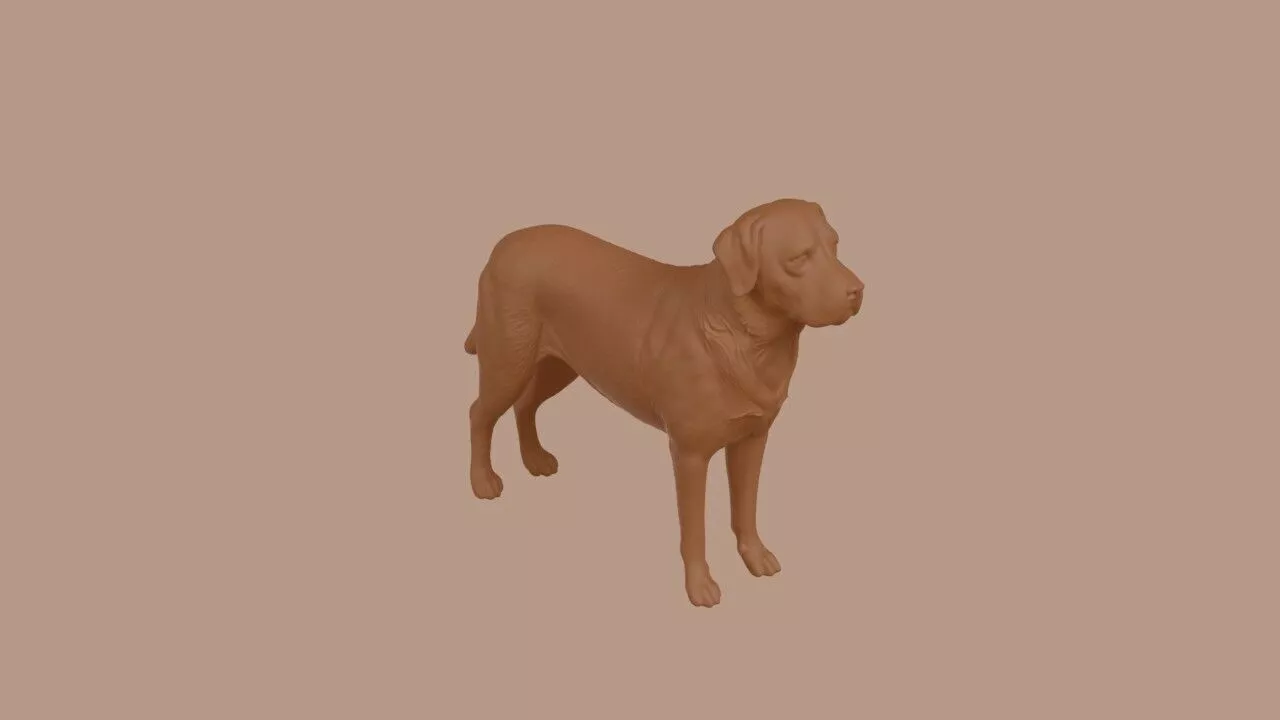 Labrador Retriever 3D print model