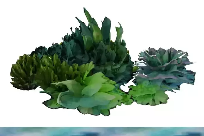 TOL Algae 007