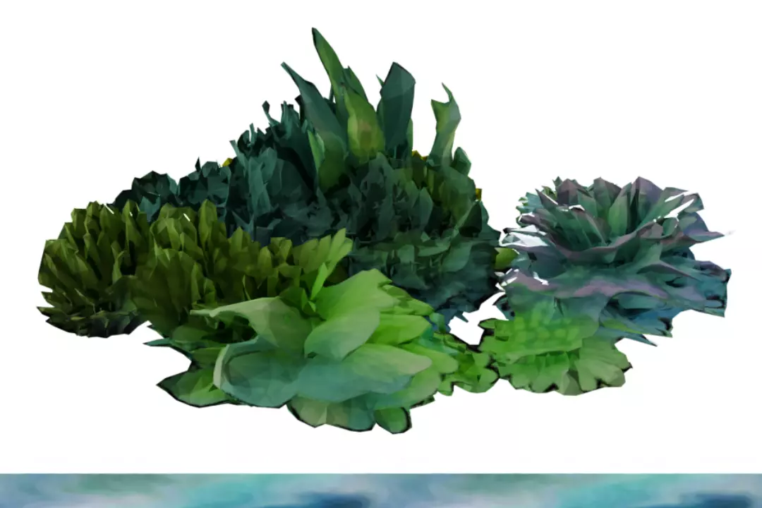 TOL Algae 007 3D model