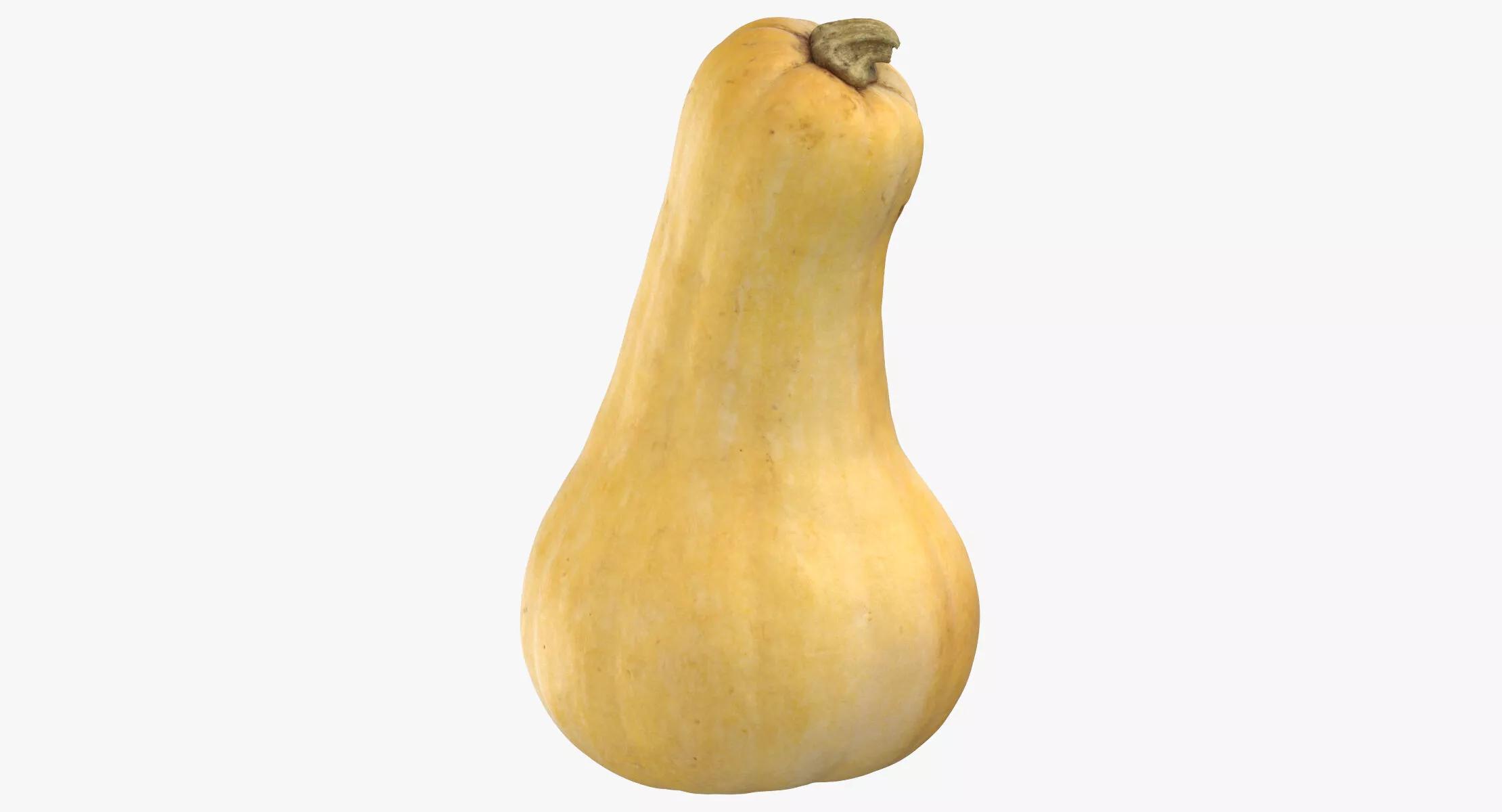 Pumpkin Butternut 01 3D model