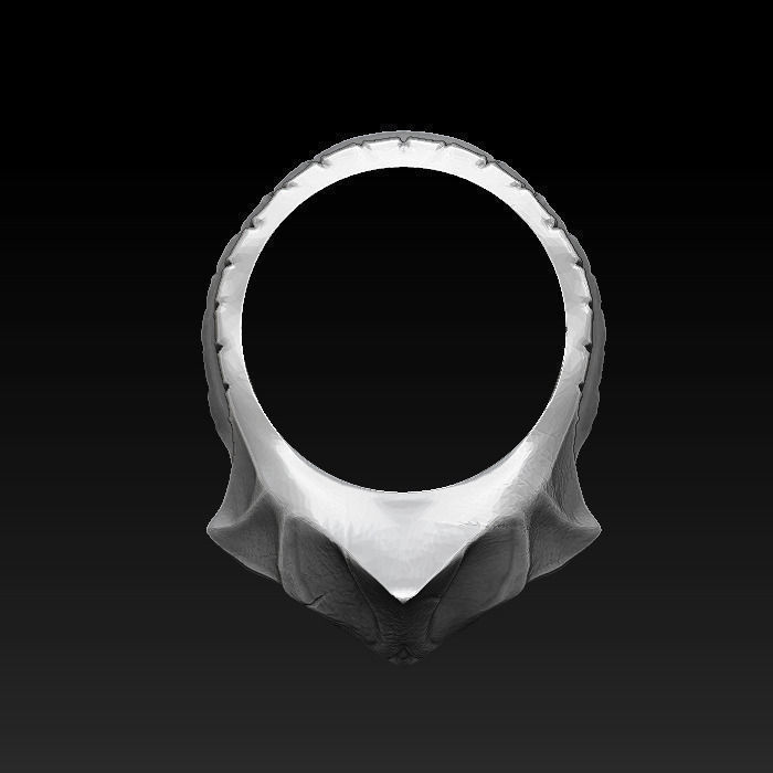 Ring - Skull 01 3D print model_1
