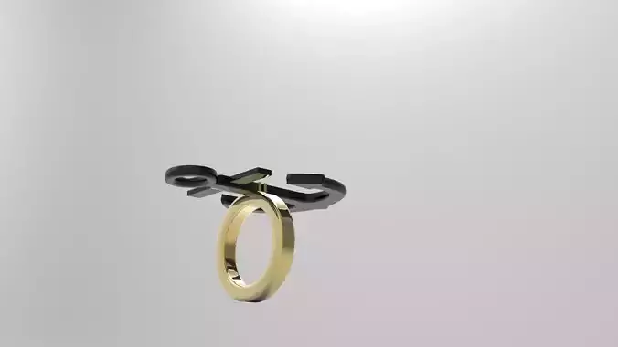 Anchor Ring 3D print model