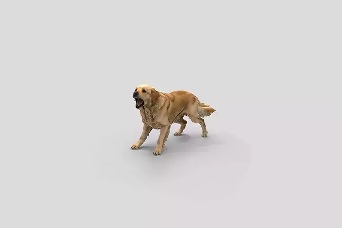  Realistic GoldenRetriever Barking Dog 3D Model