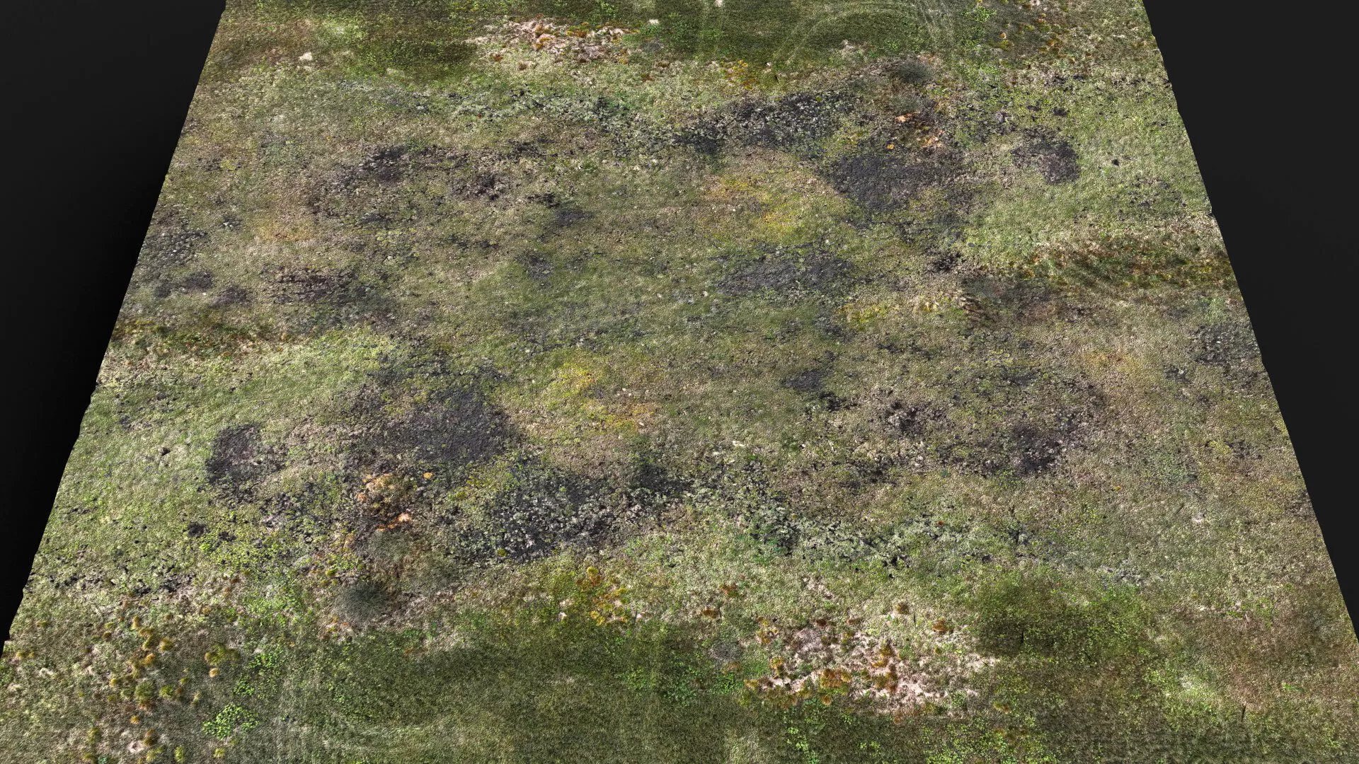 terrain ground grass bushes patch pt9 PBR photogrammetry Low-poly 3D model