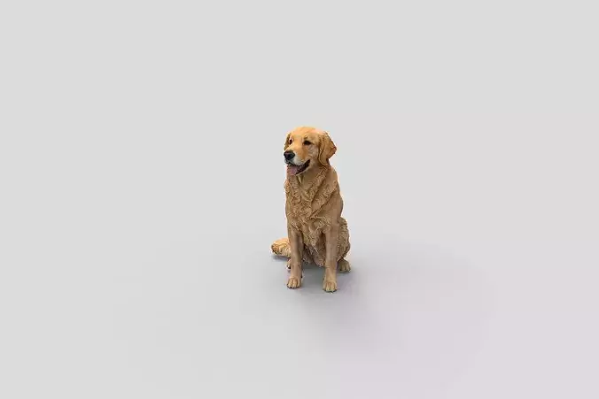  Realistic GoldenRetriever Sitting Dog 3D Model