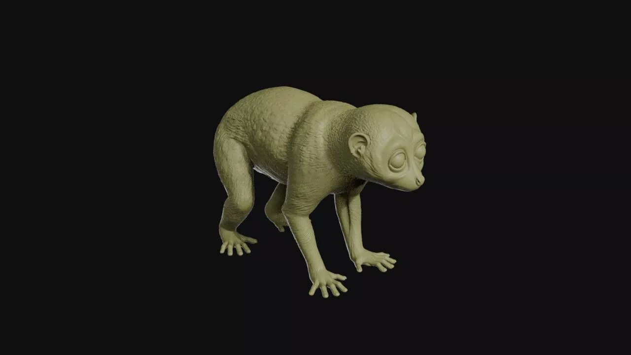 Loris 3D print model