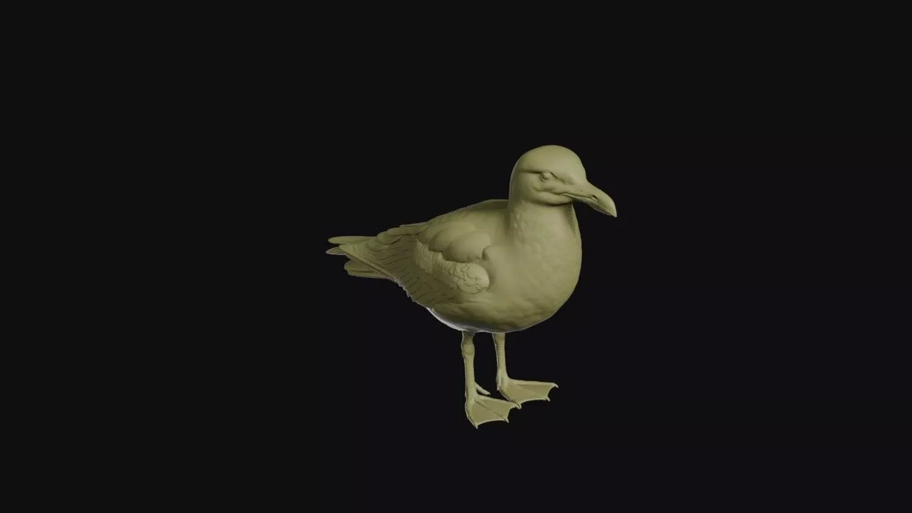 Gull Model 3D print model