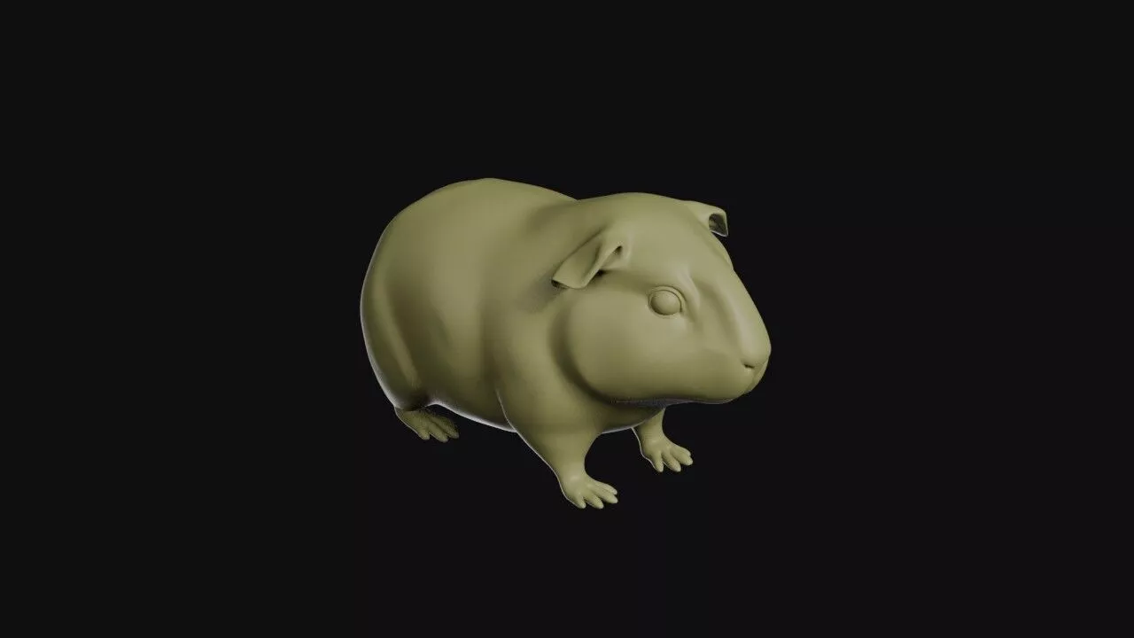 Guinea Pig 3D print model