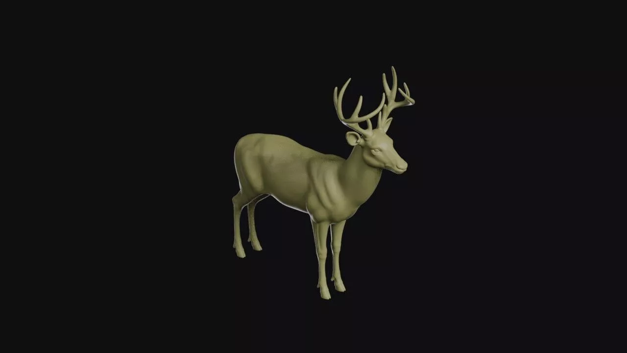 Deer Model 3D print model