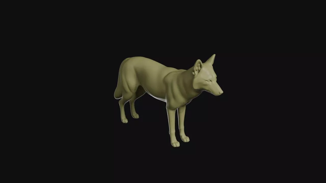 Coyote 3D print model