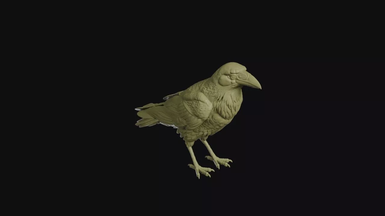 Common Raven 3D print model