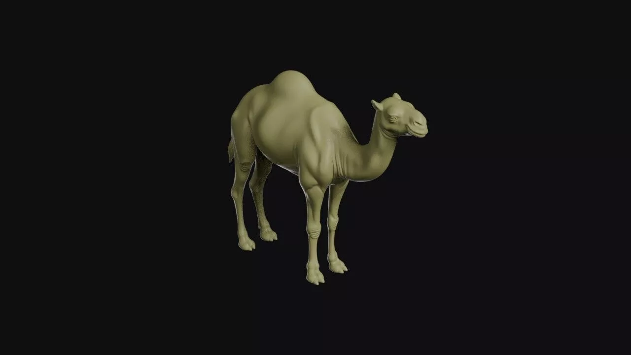 Camel 3D print model