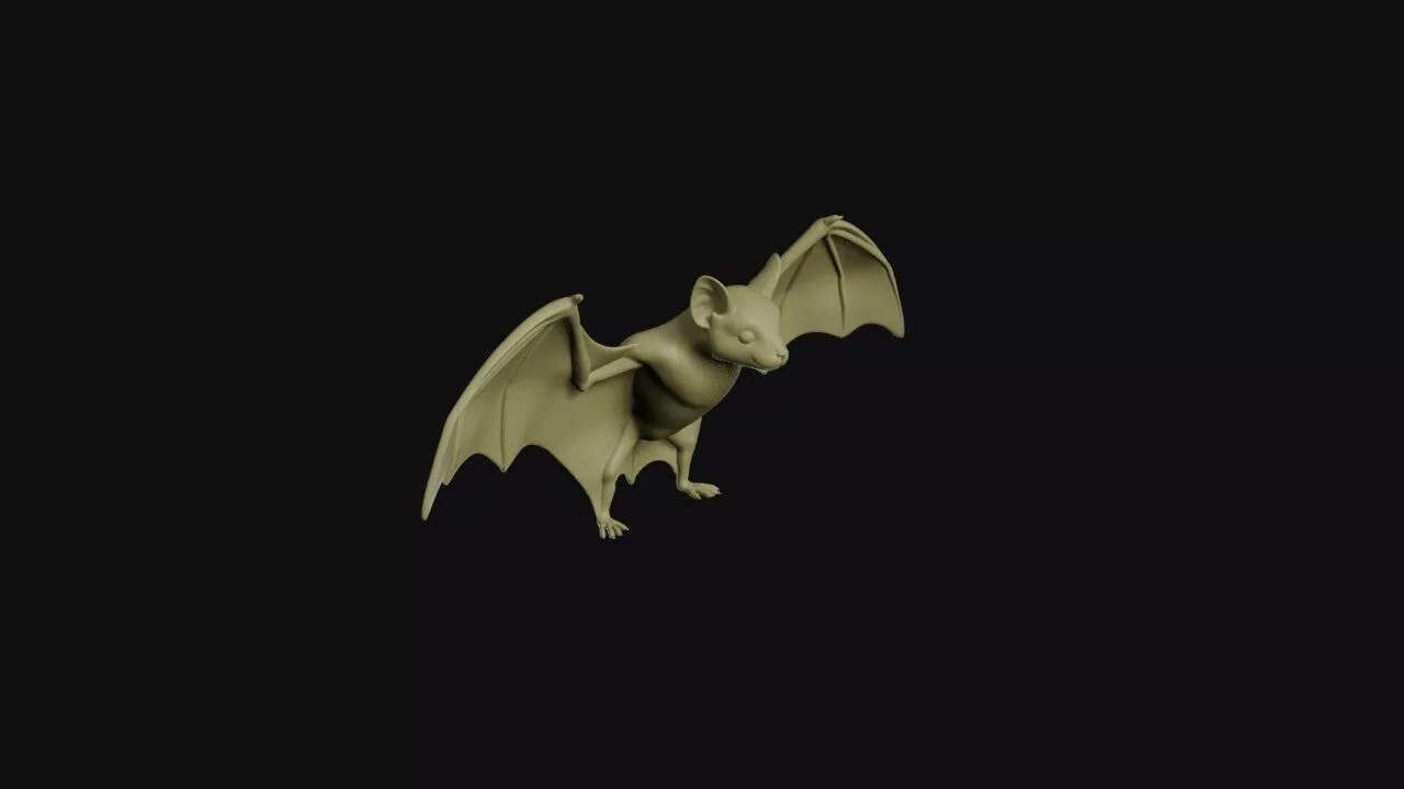 Bat Model 3D print model