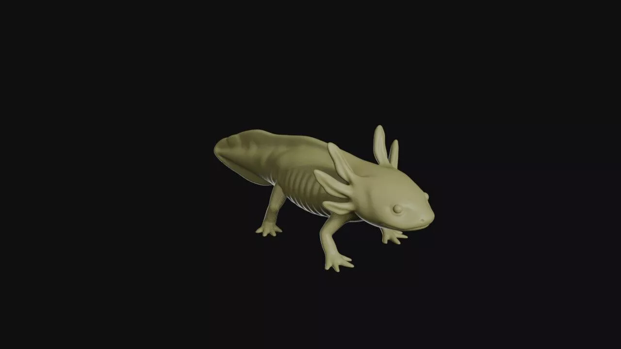 Axolotl 3D print model