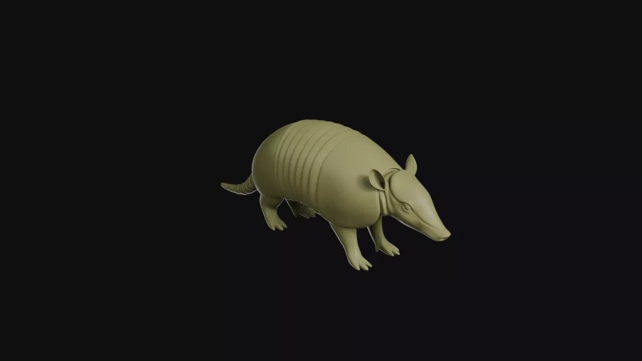 Armadillo 3D print model