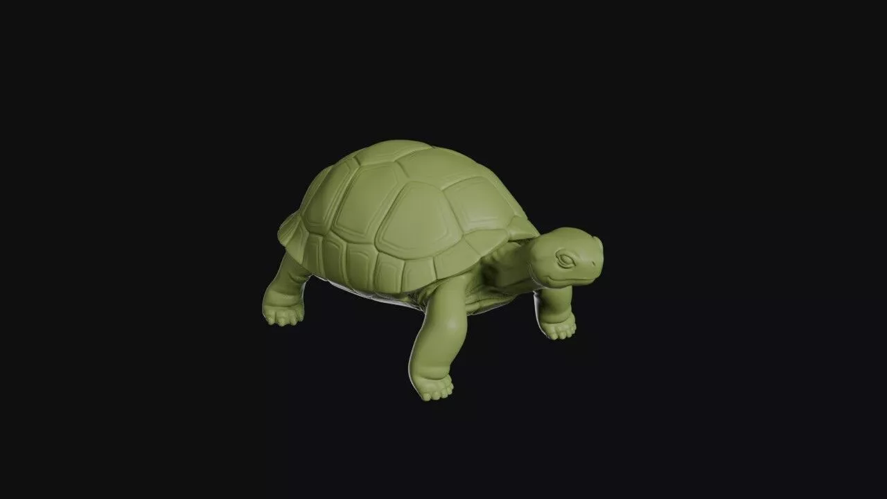 Turtle 3D print model