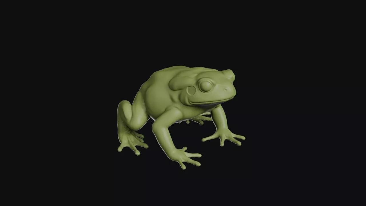 Toad Model 3D print model