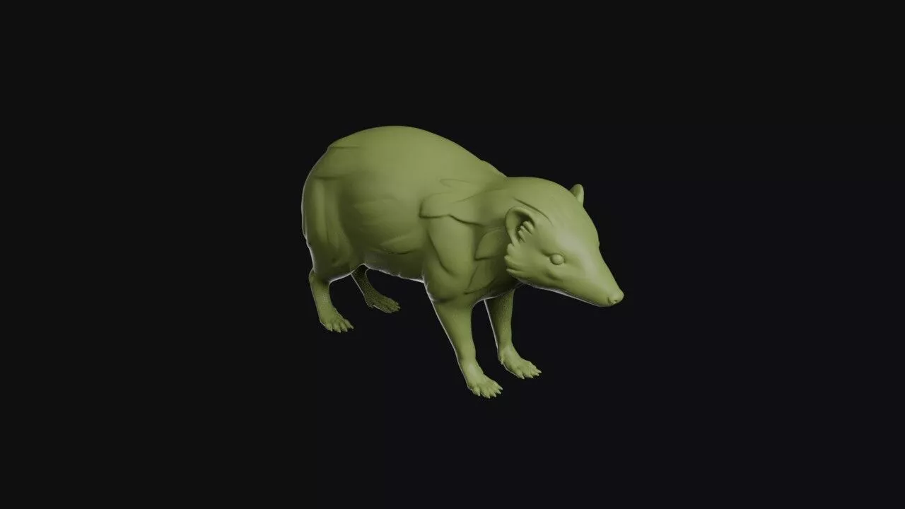 Tenrec 3D print model