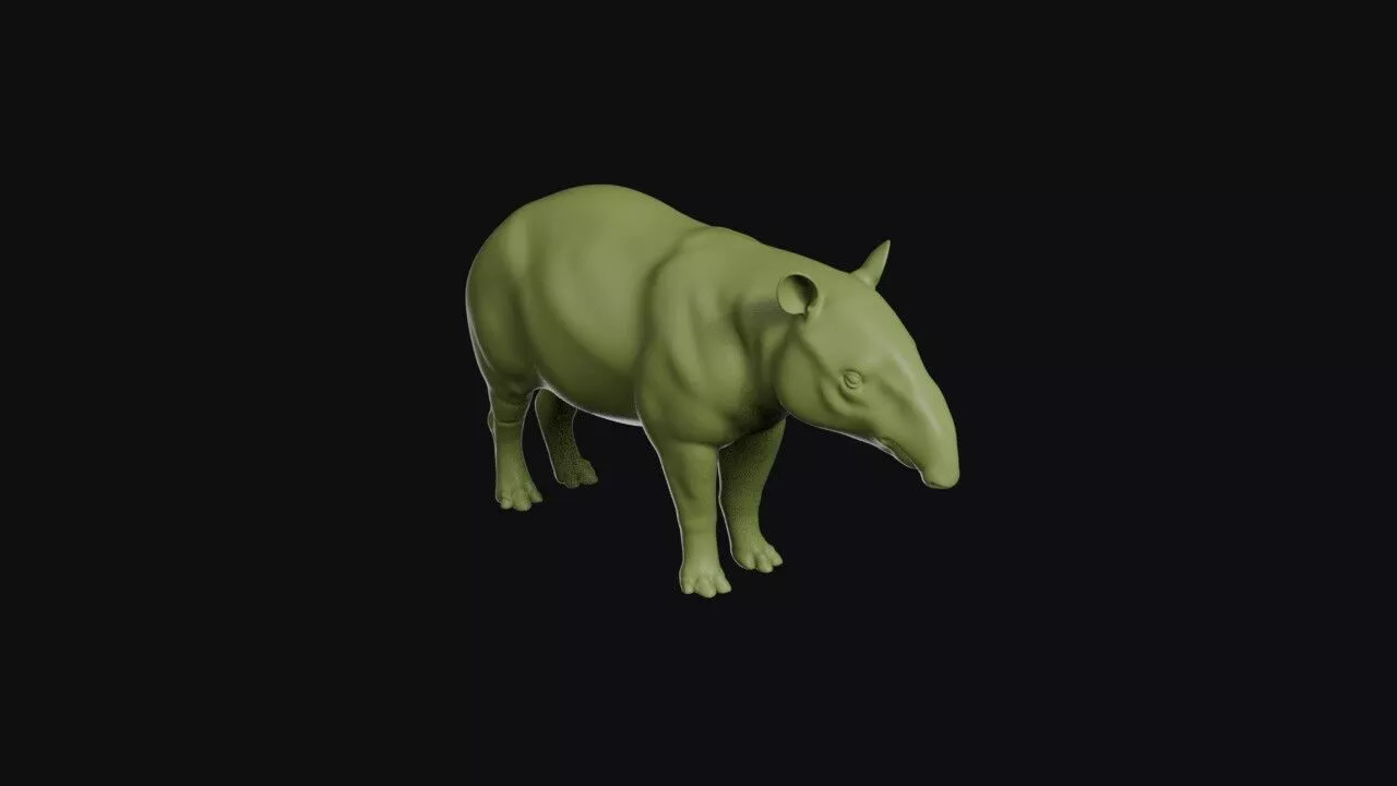 Tapir 3D print model