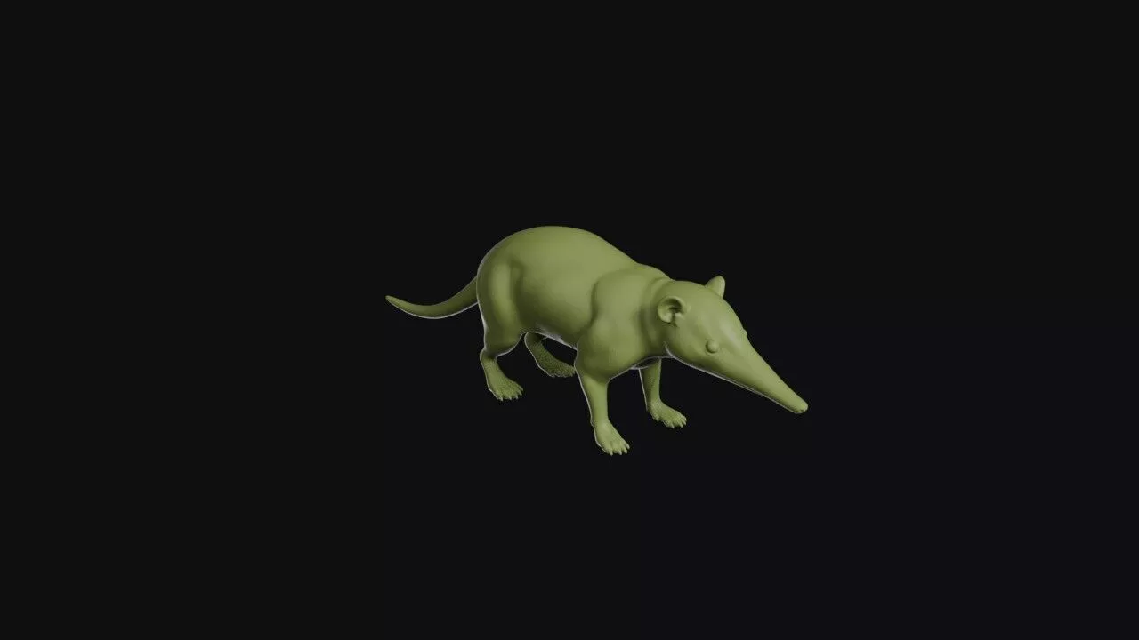 Solenodon 3D print model