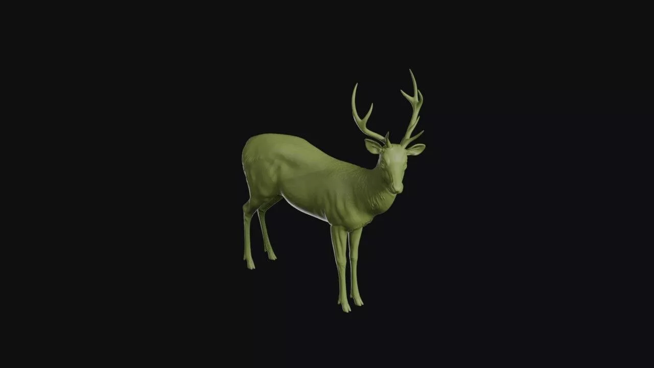 Sambar 3D print model