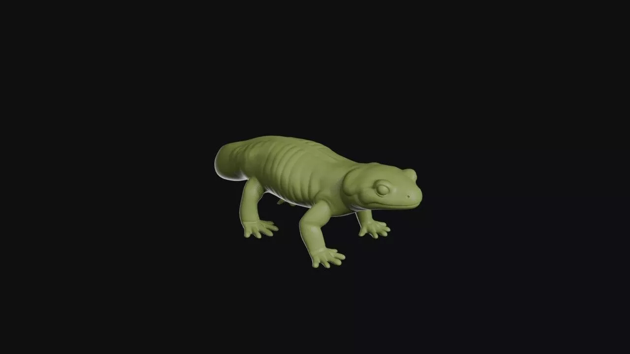 Salamander 3D print model