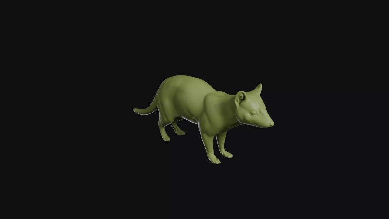 Quoll 3D print model