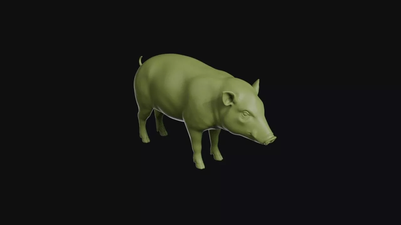 Pygmy Hog 3D print model