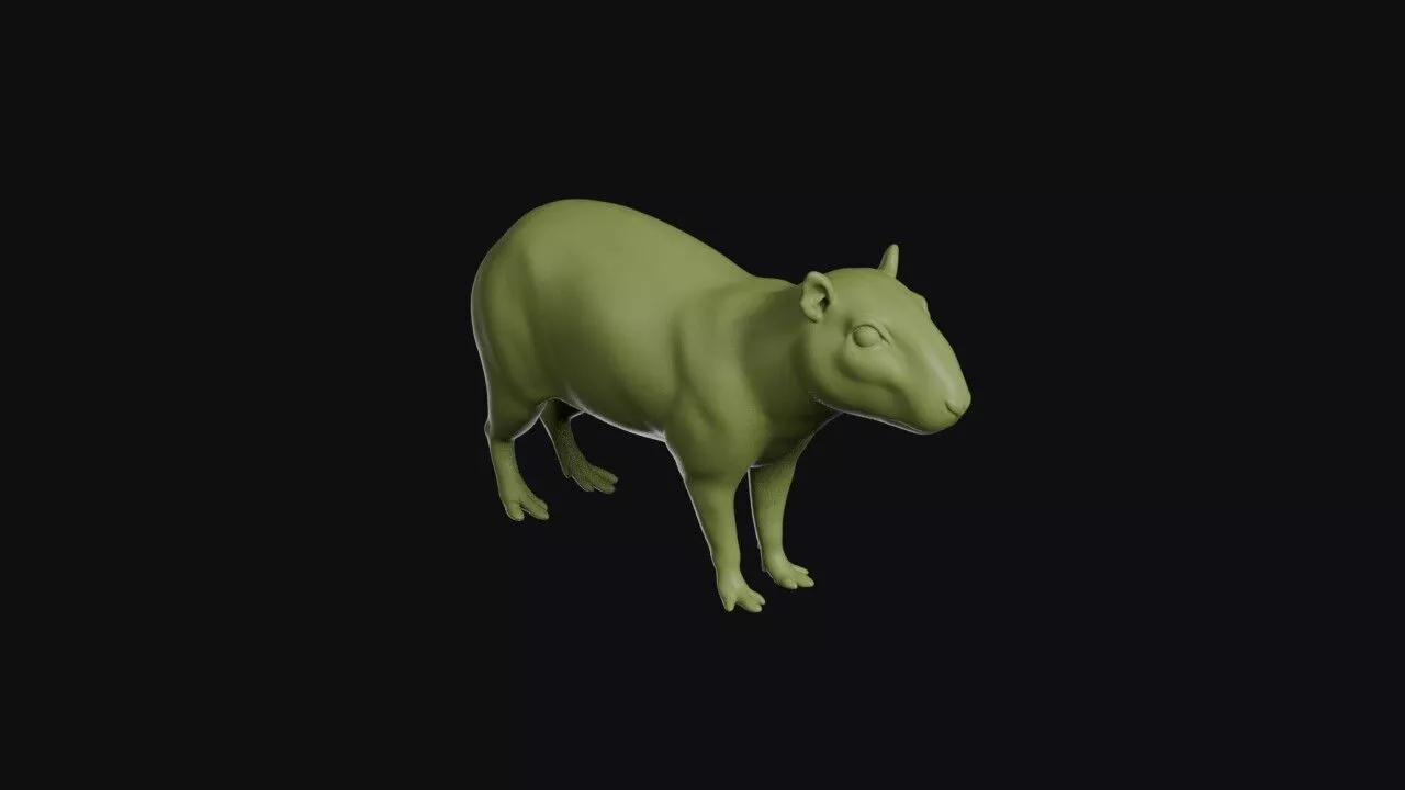 Paca Model 3D print model