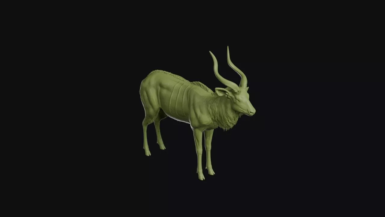 Nyala 3D print model