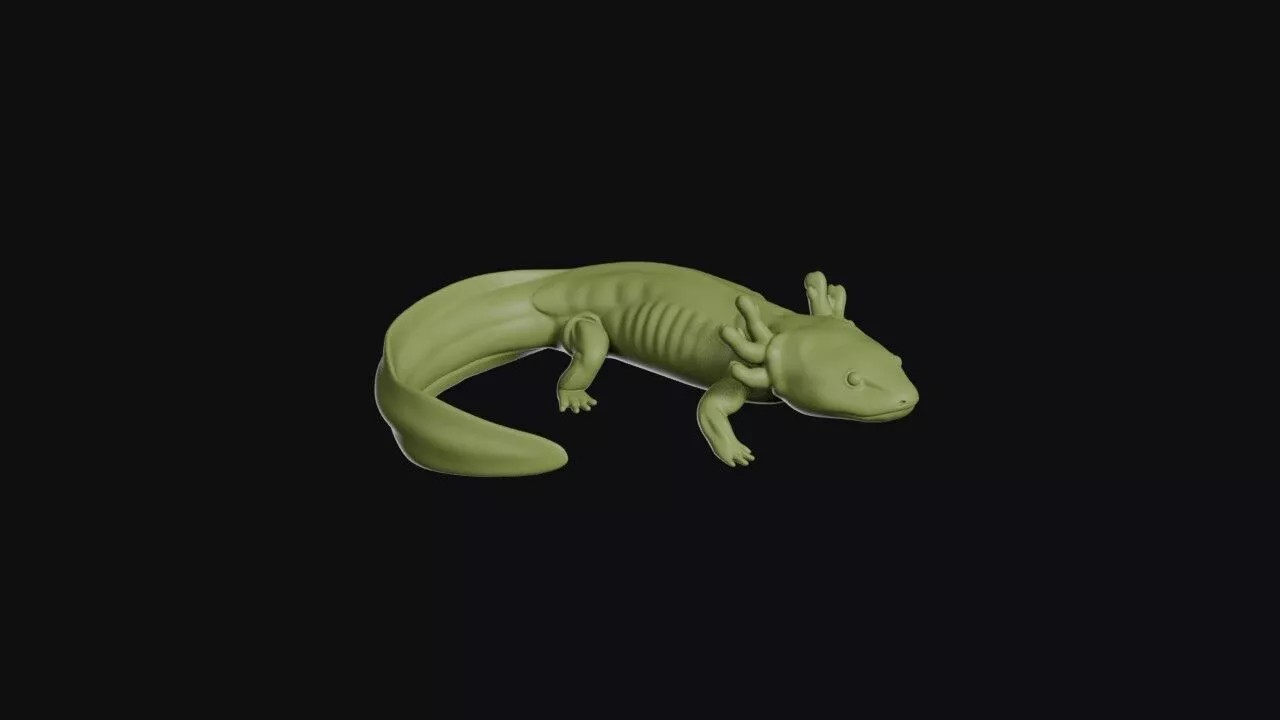 Mudpuppy 3D print model