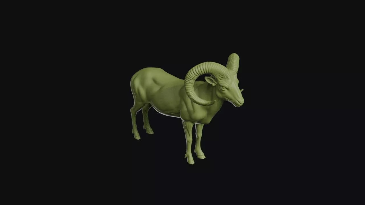Mouflon 3D print model