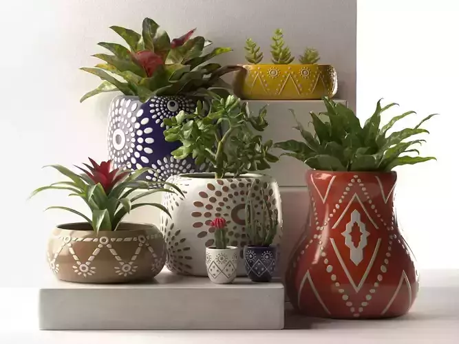 Leta Pots with Plants