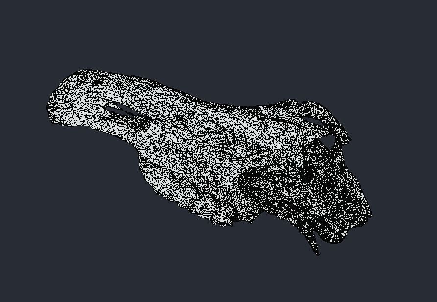 Horse Upper Skull Scan 3D model_9
