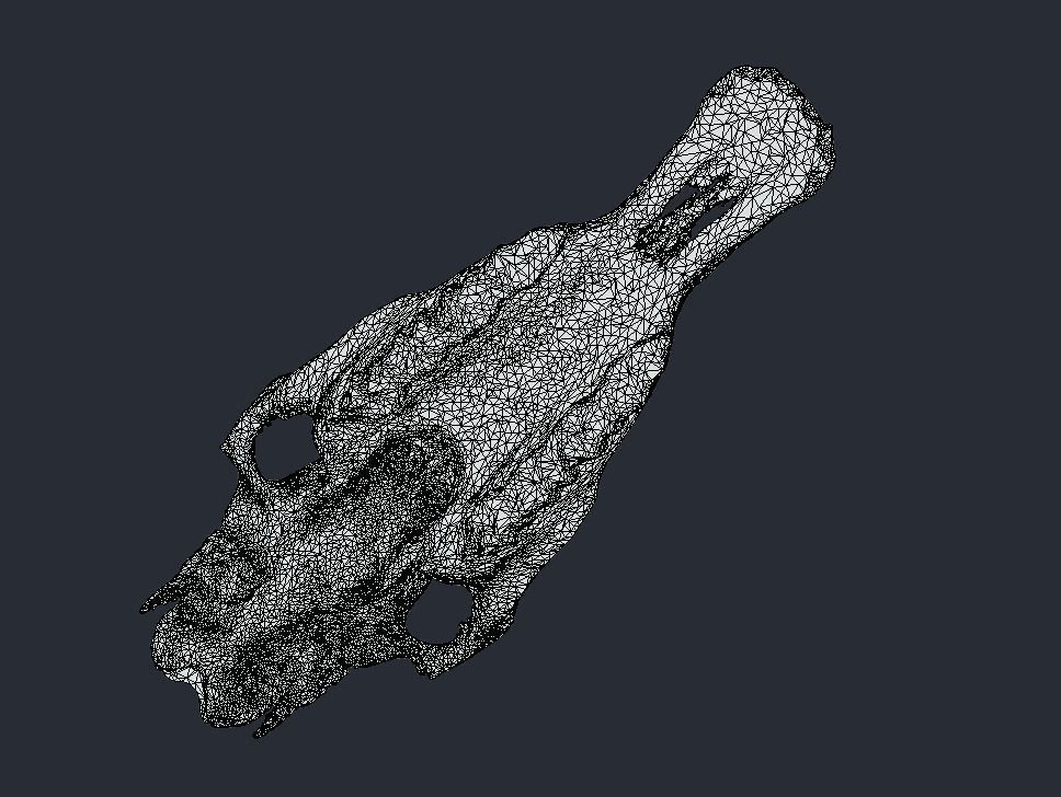 Horse Upper Skull Scan 3D model_10