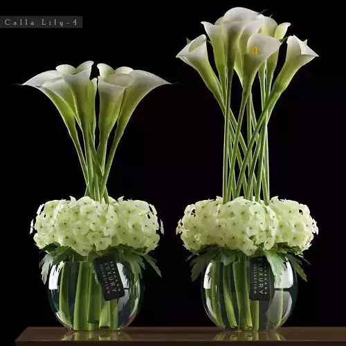 Callalilly and hydrangea  flowers 4