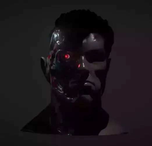 ARNOLD T2 STYLE BATTLE DAMAGED TERMINATOR INSPIRITED BUST 3D print model
