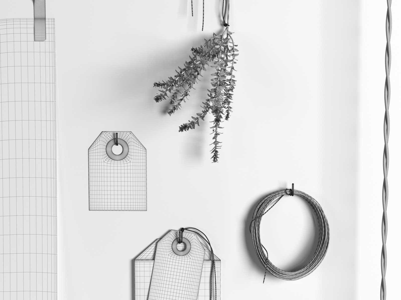 Composition Eucalyptus Collection 3D model_1