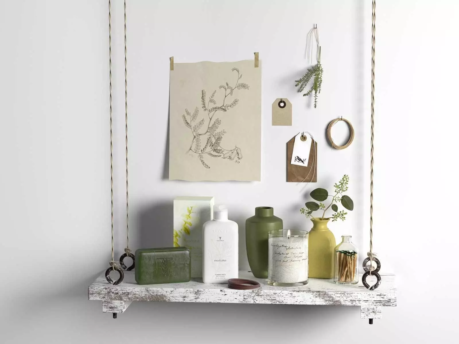 Composition Eucalyptus Collection 3D model_0