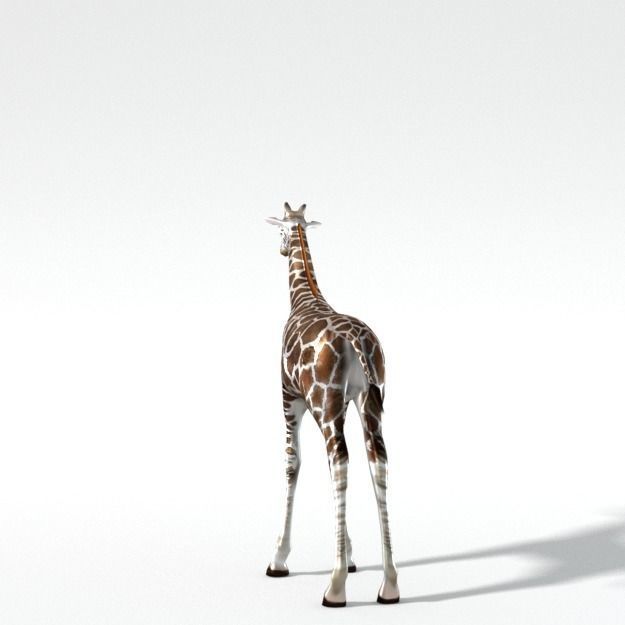 Giraffe Low-poly 3D model_2