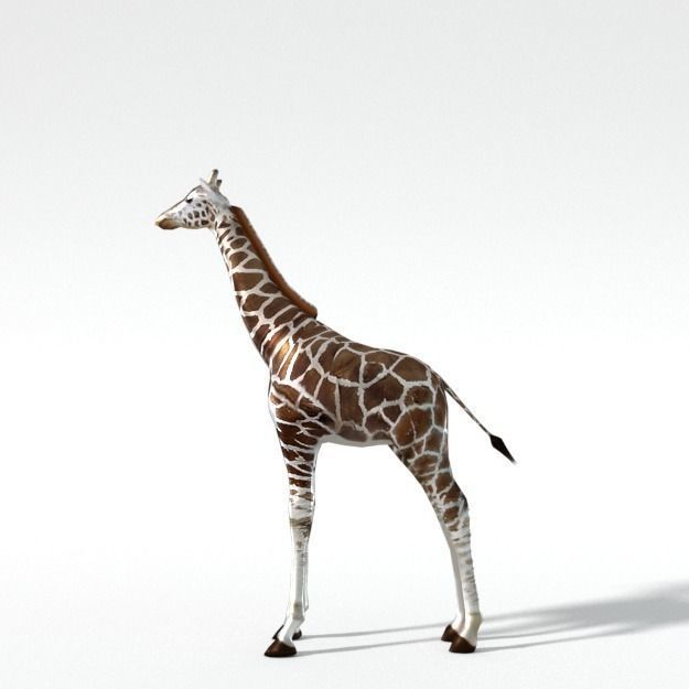 Giraffe Low-poly 3D model_1