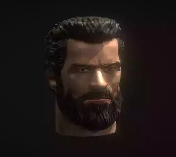 LOGAN INSPIRITED HEAD FOR FIGURES 3D print model