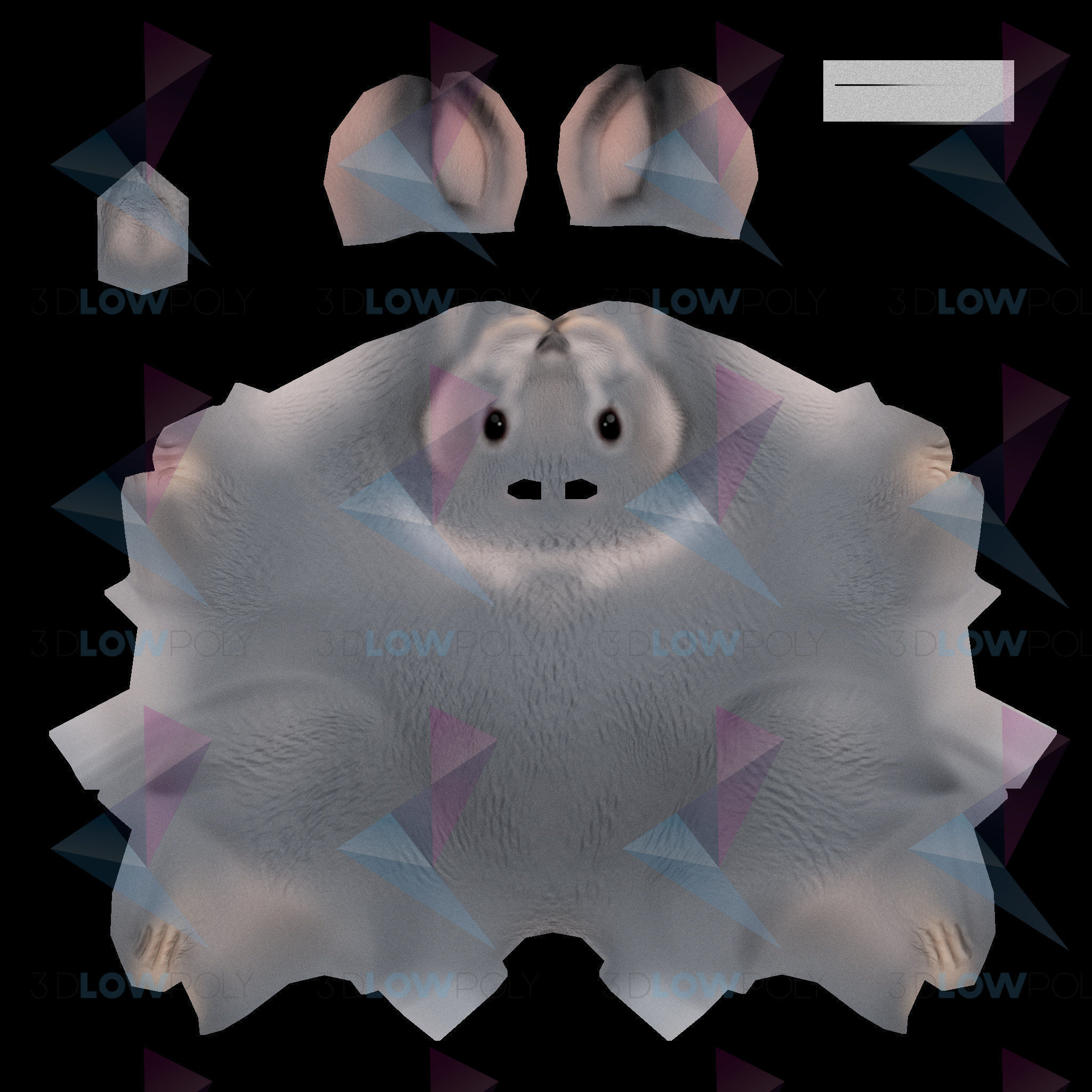 Grey Rabbit Low-poly 3D model_7