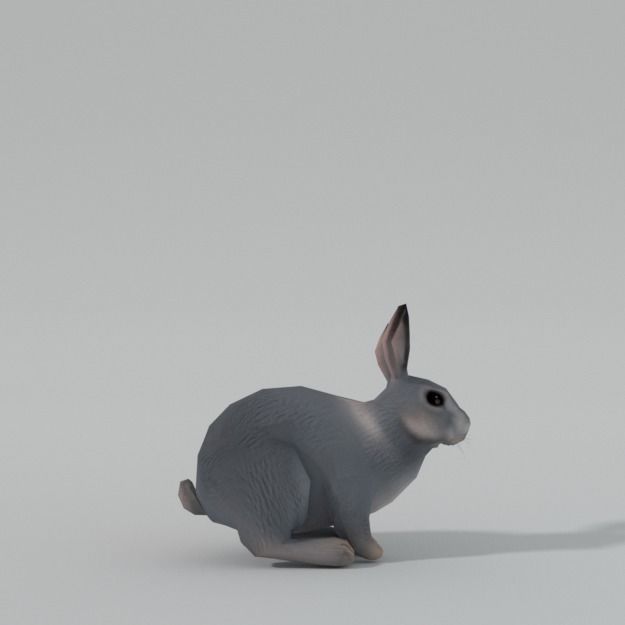 Grey Rabbit Low-poly 3D model_1