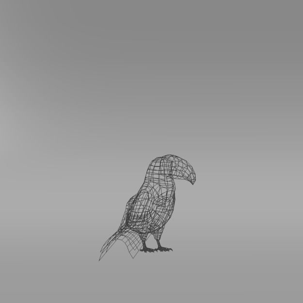 Toucan bird Low-poly 3D model_4
