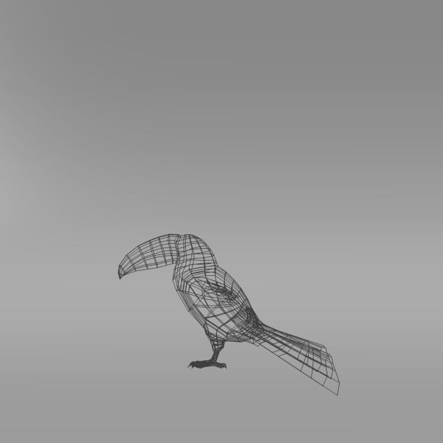 Toucan bird Low-poly 3D model_6